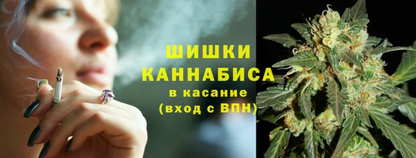 PSILOCYBIN Нефтегорск
