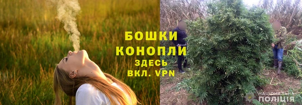 ешки Нея