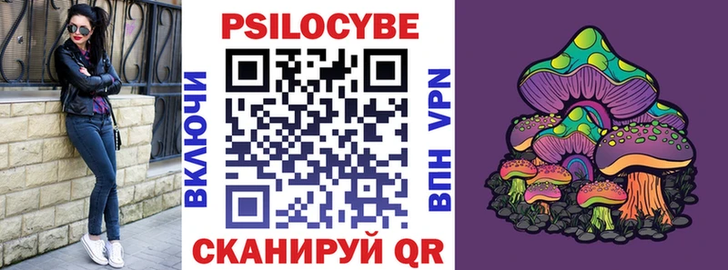 Купить где  Ковылкино  Псилоцибиновые грибы мухоморы 